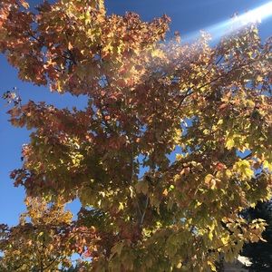 Meet your Posher, Kristy